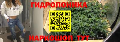бошки Новозыбков