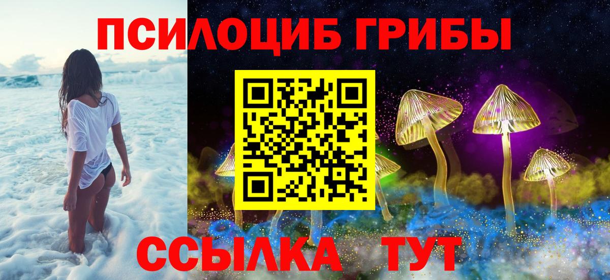 Галлюциногенные грибы Magic Shrooms  Вход с VPN  Северобайкальск 