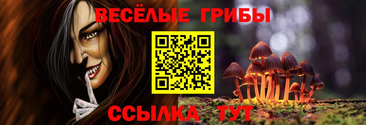 Галлюциногенные грибы GOLDEN TEACHER Северобайкальск