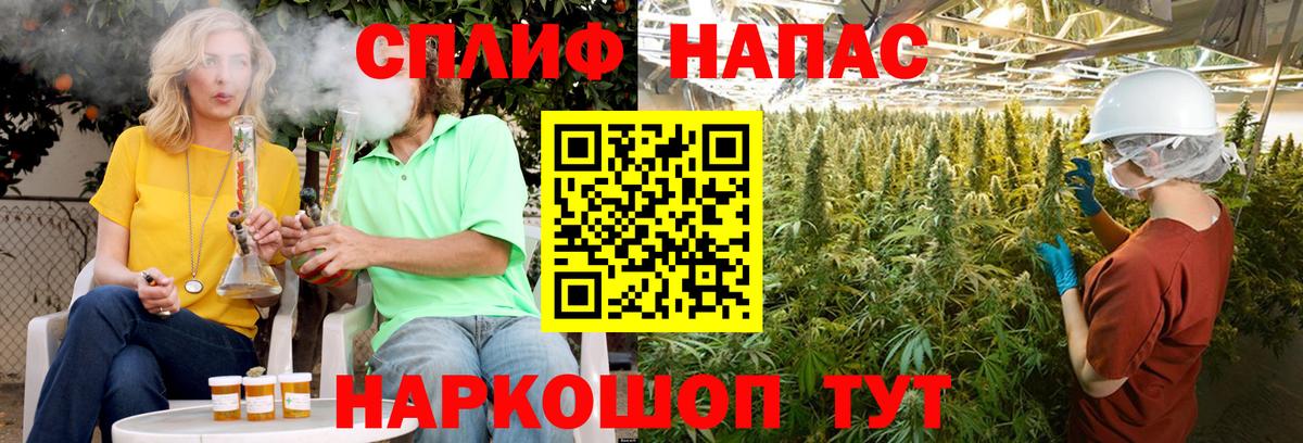 Бошки Шишки семена Северобайкальск